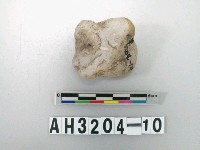 藏品(石英石料)的圖片